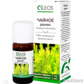 Чайное дерево эфирное масло 10 мл