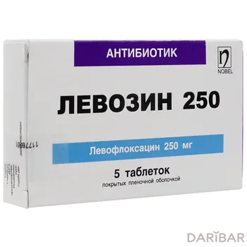 Левозин 250 мг таблетки № 5
