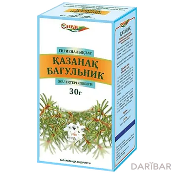 Багульника болотного побеги 30