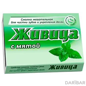 Живица лиственн с мят 800 мг № 5резин жев